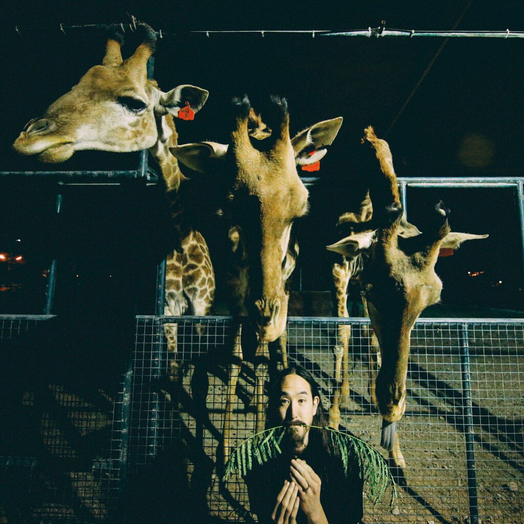 Giraffe life https://t.co/nernD1Yjhh