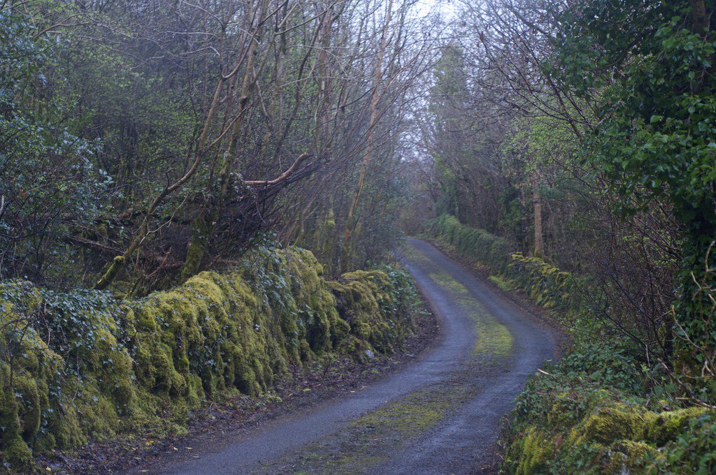 Withdrawl: A Cure for a warring heart? papamalo.wordpress.com/2016/02/21/wit…