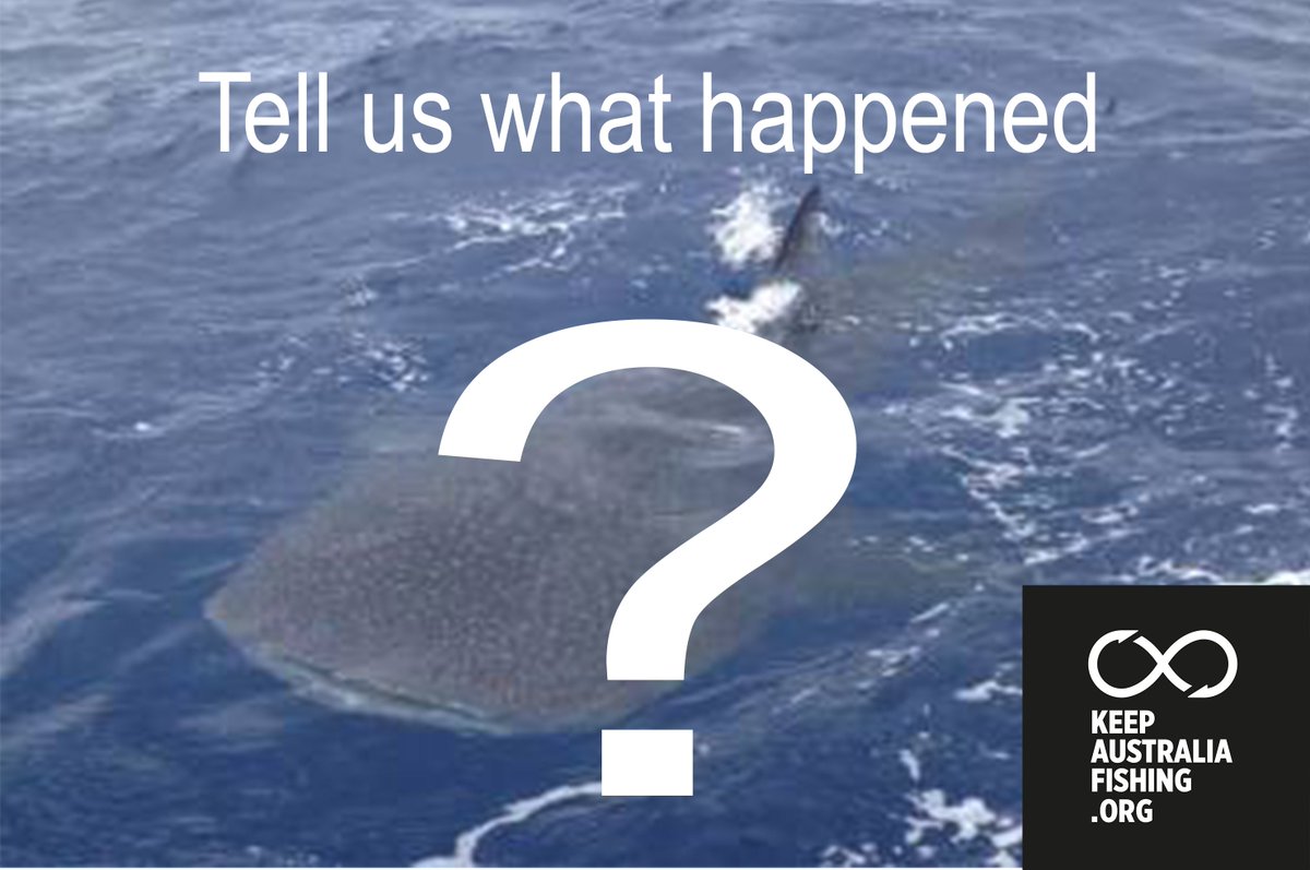 KeepAusFishing's tweet photo. Transparency please on the activities of the Geelong Star @Anne_Ruston @TurnbullMalcolm @GregHuntMP @Barnaby_Joyce https://t.co/OSzHxRCKuR