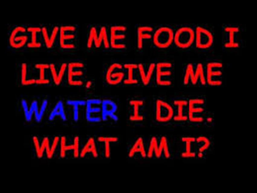 Cityside Belfast tweet media