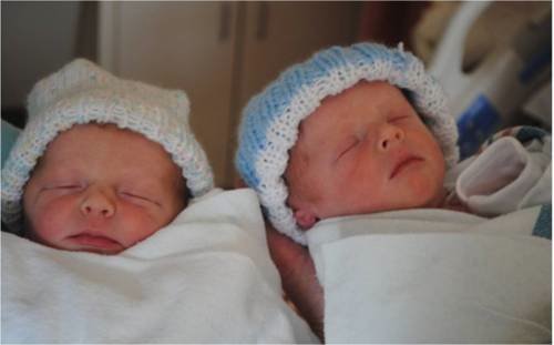 Lylah Marie Swan (White)Lucas Hatter Swan (blue)