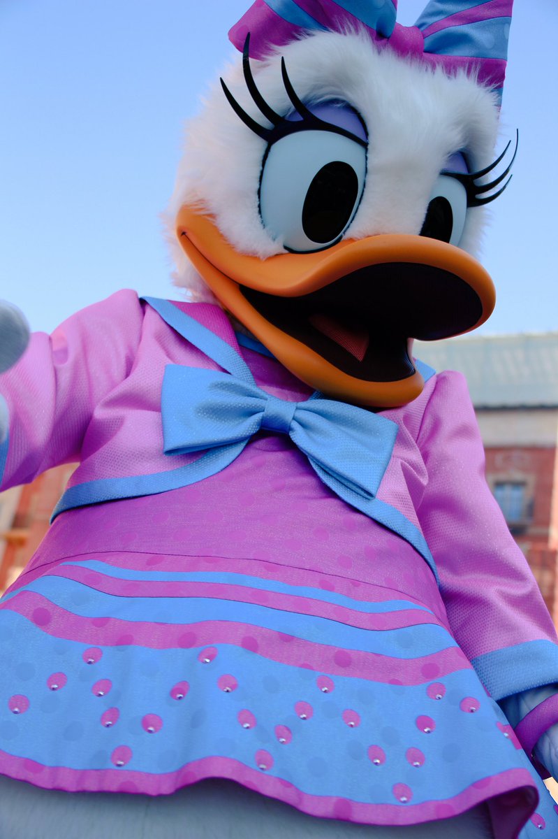 _rena_disney's tweet photo. どアップシリーズ✨✨ https://t.co/UScfZq1URT