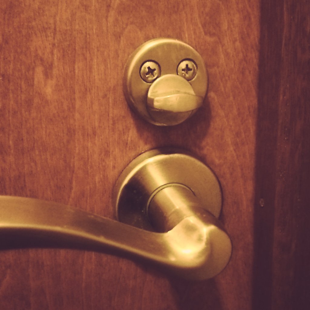 以前、トイレのこいつはアヒルではないかと気になってる、とのツイートをしたが、最近はこの“空に憧れるウサギ”のことも気になってる。