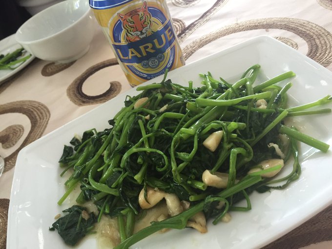 ランチは、中華だーよー*\(^o^)/* https://t.co/ya6UdGccQV<a href="/tag/%E5%A5%B3%E5%AD%90%E4%BC%9A"class="tags"><span>#女子会</span></a><a href="/tag/%E3%83%8F%E3%82%A4%E3%83%9C%E3%83%BC%E3%83%AB%E7%A5%AD%E3%82%8A"class="tags"><span>#ハイボール祭り</span></a><a href="/tag/%E5%85%AD%E7%99%BD%E9%BB%92%E8%B1%9A%E3%83%90%E3%83%A9"class="tags"><span>#六白黒豚バラ</span></a><a href="/tag/%E3%83%87%E3%82%AB%E3%82%A4%E8%9F%B9"class="tags"><span>#デカイ蟹</span></a>
