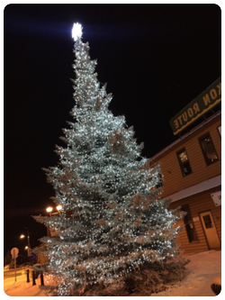 tabi_guide's tweet image. 旅ルポ更新しました！
「ホワイトホース　時期外れのXmasツリー」
newsbba.com/tabiguide/inde…
#ホワイトホース　#カナダ　#旅ブログ　
世界行ってみたらこんなとこ？！