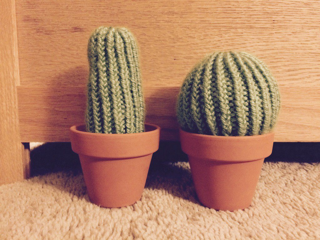jr_knit's tweet photo. In the Edmonton area and looking for some cacti home decor? Check out JR-Knit. @Etsy @CraftPromote #JRKnit #handmade https://t.co/lhMEEOKcIF