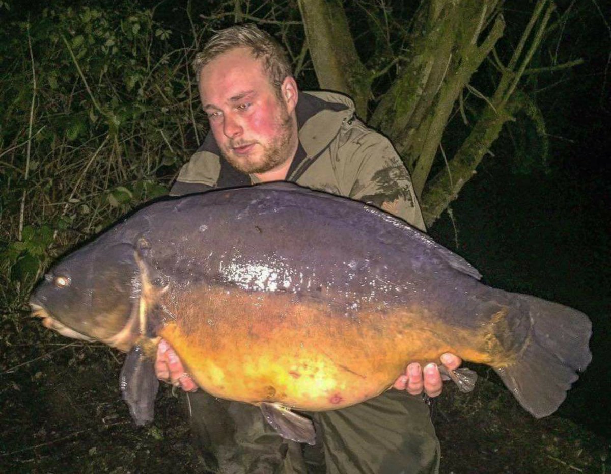 DusterBaits's tweet photo. Chris Metre got amongst the fish at swan valley with a cracking 26.12 mirror and a low 20lb common. #Nuttrix https://t.co/kINJC9FAgK