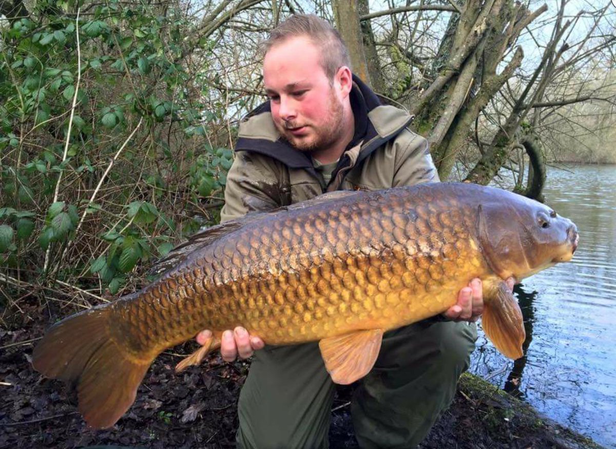 DusterBaits's tweet photo. Chris Metre got amongst the fish at swan valley with a cracking 26.12 mirror and a low 20lb common. #Nuttrix https://t.co/kINJC9FAgK