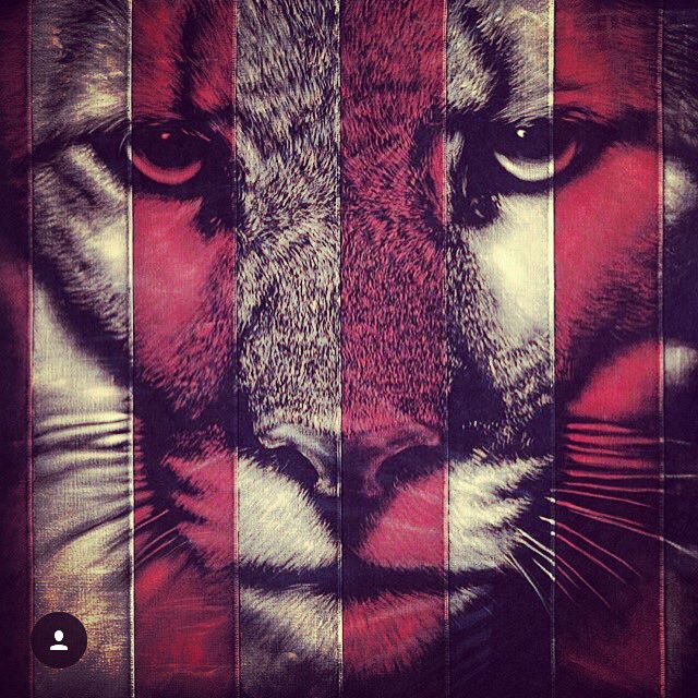 Chesterart92's tweet photo. #Puma by #PamGlew at #TheContemporary in #Chester https://t.co/uo1BR4llG3 #animal #zoo #beast #contemporary https://t.co/01xIzhFSlS