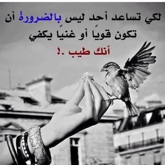 <a href="/sbrs91/">لّقلّبيِ حًگٍآيِـٍةِ</a> <a href="/hhhharoon1/">الفتى الموسوي</a> <a href="/fa_1995____/">.</a> @fatam_18 @AeedanAmoori <a href="/abaas1000/">♥ عباس الكتلوني ♥</a> <a href="/ywsf89/">عاشق الروافض</a> <a href="/Zozohar995/">مغلق </a> @a7_7789 <a href="/4t607v7MnaaOjfM/">صمتي حكايه</a>
