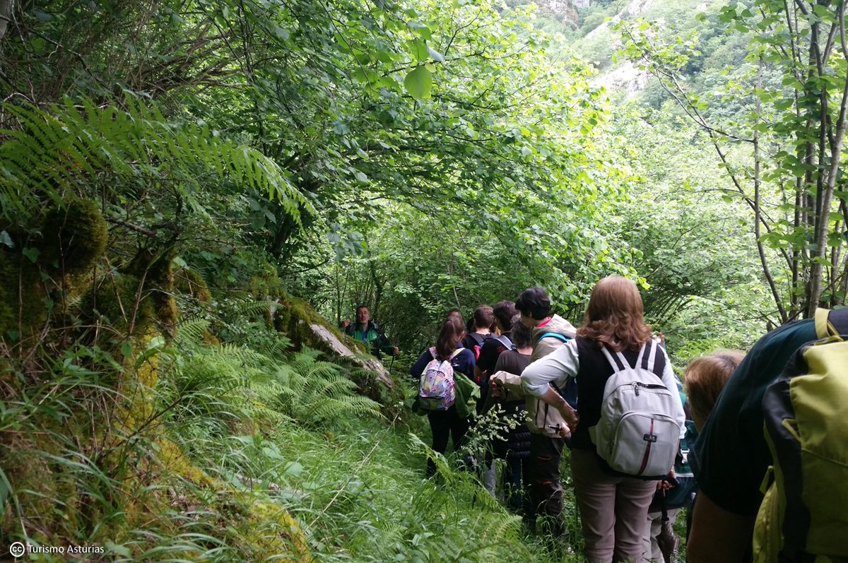 Hoy es el Día Internacional del Guía de Turismo ¡Qué grandes profesionales en #Asturias! ow.ly/YvJOP