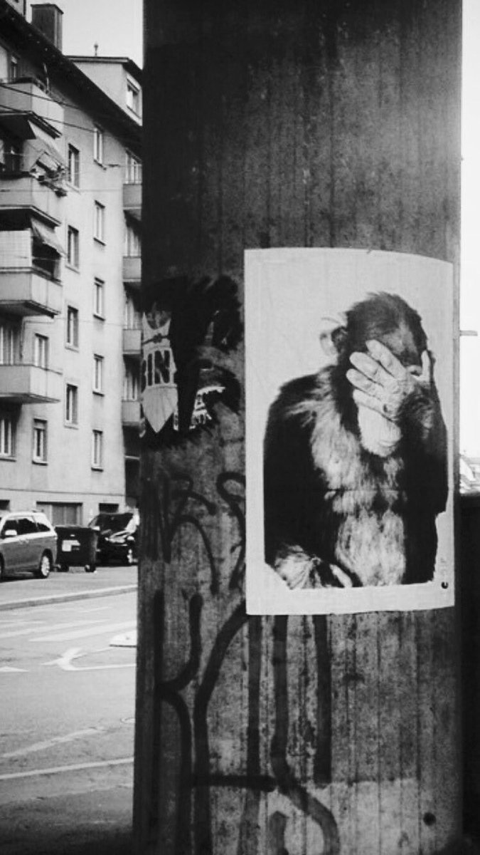 thecommbut's tweet photo. eat. sleep. create. #sundaymood #zurich #thecommbut https://t.co/WbQW0DY5fZ