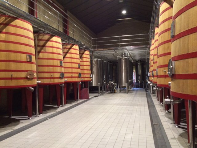 SharingTheBest's tweet photo. Interesting #winetour of @marquesderiscal #bodega and #winetasting afterwards! https://t.co/LZ9iDtRZWh