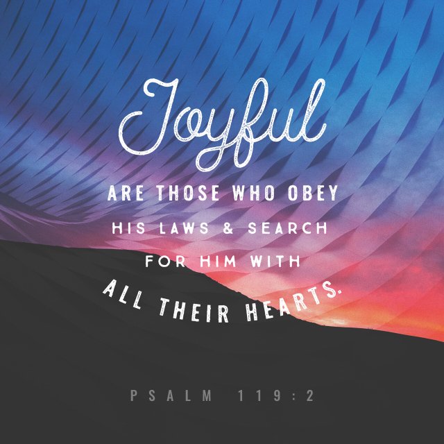 jointoread's tweet photo. “Blessed are those who keep his statutes and seek him with all their heart—”
Psalm 119: 2 https://t.co/tTZfuGbgSw