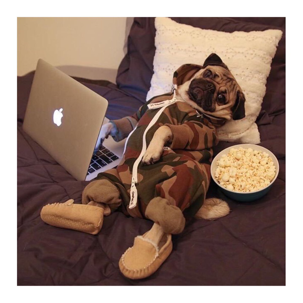 lucy_meck's tweet photo. Me today 😂 https://t.co/1EZZBmd7V1