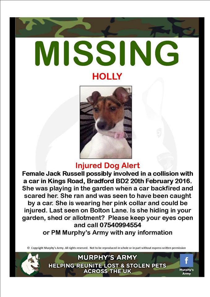 findmurphyhusky's tweet photo. @juliefowler6 URGENT last seen 20/02/16 hit by a car and ran off in the Bradford 2 area. please share  and rt https://t.co/MyNMvdlrR8
