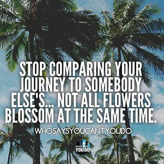Stop Comparing Your Journey To Somebody Else S Not All Flowers Blossom At The Same Time Great Quotes Words Of Wisdom Law Of Attraction