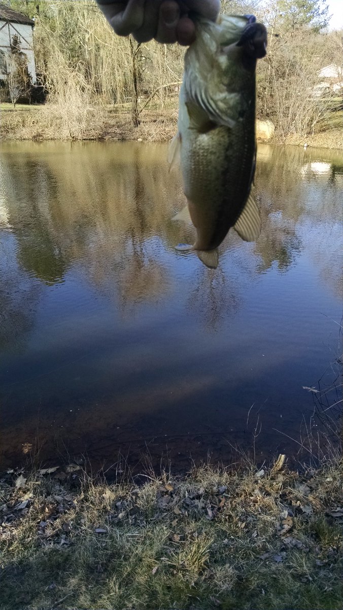 In the low 50's, but there's still alot of ice covering the water.