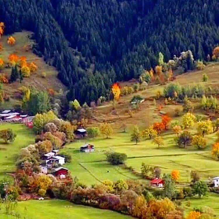 myikar's tweet photo. @myikar #Artvin https://t.co/sIcJ55TIbv