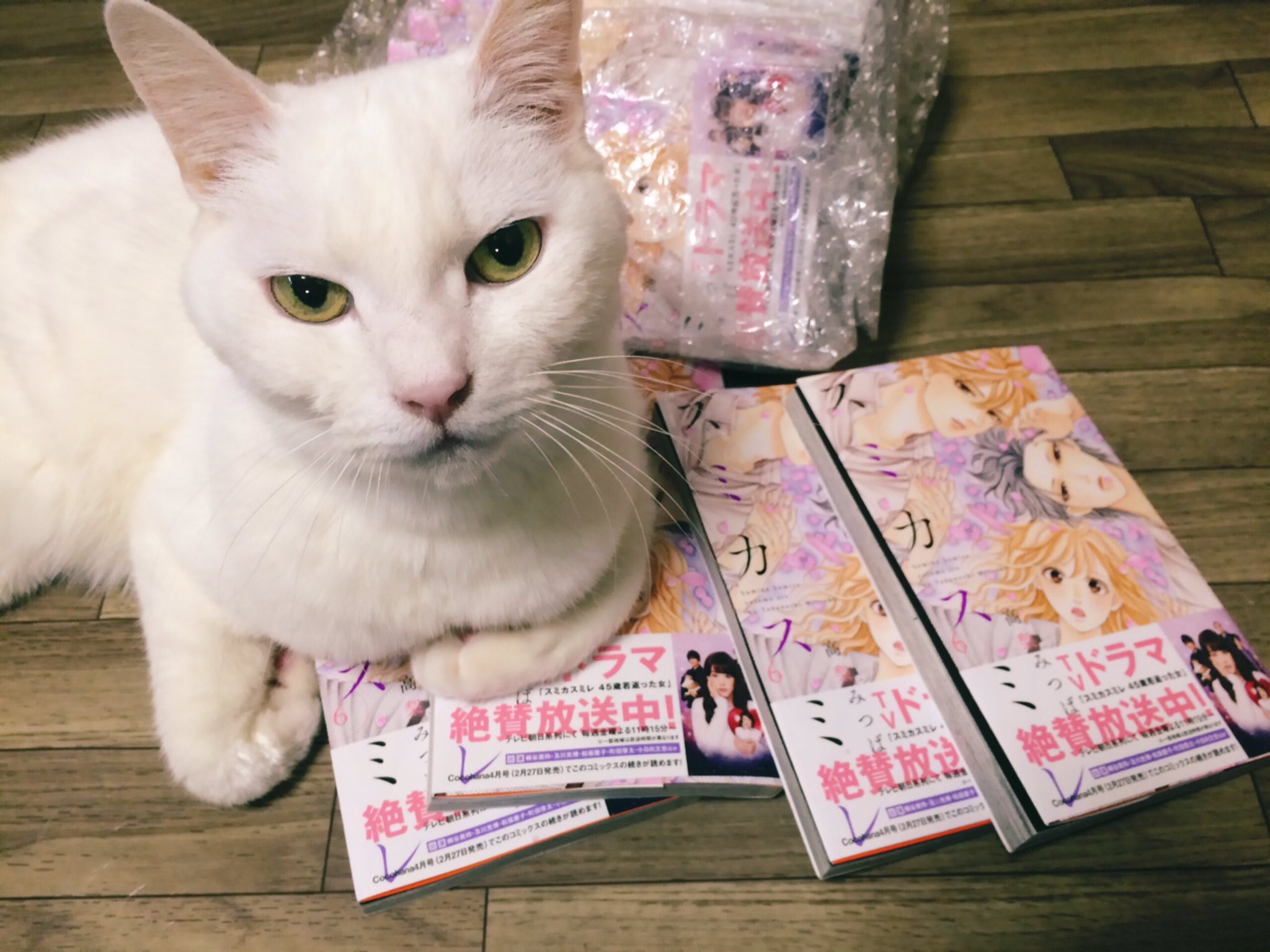 高梨みつば スミカスミレ の最新刊6巻が手元に届きました チロちゃんキメ顔です N 発売は２月25日です 当日にまたお知らせします スミカスミレ T Co Br60phs2nb