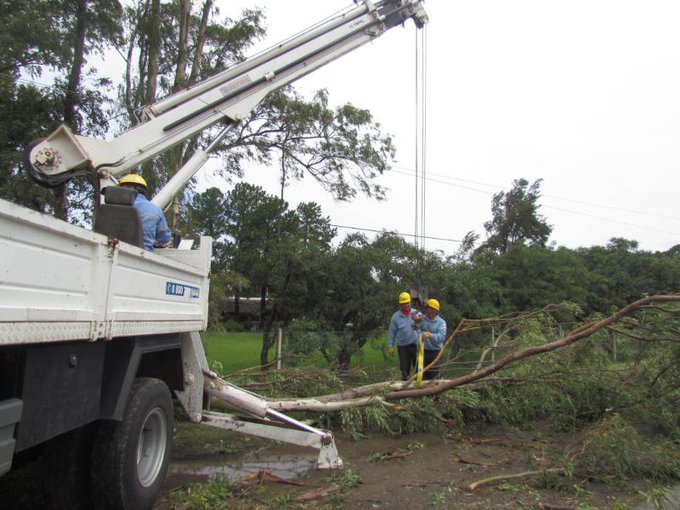 Ver imagen en Twitter