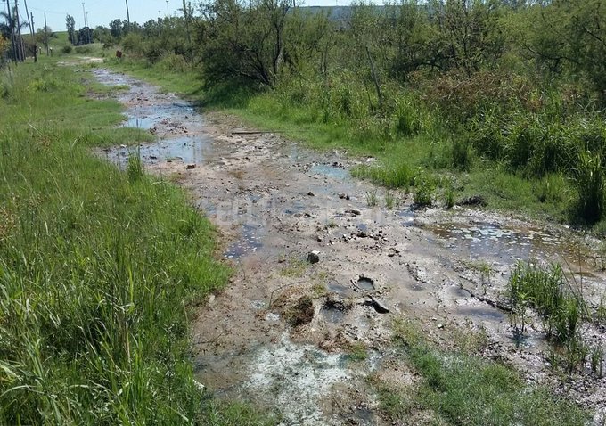 Ver imagen en Twitter