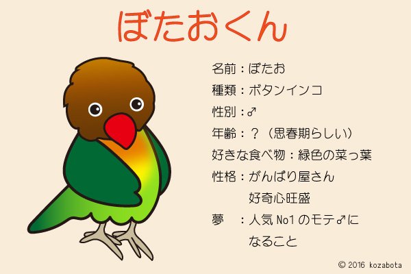 Twitter पर ボタン色の部屋 先日ツイートした 飼ってみたい鳥ランキング のイラストのボタンインコに名前をつけました ぼたおくん です よろしくお願いします インコ ボタンインコ イラスト キャラクター T Co Wh1y0lksjn Twitter
