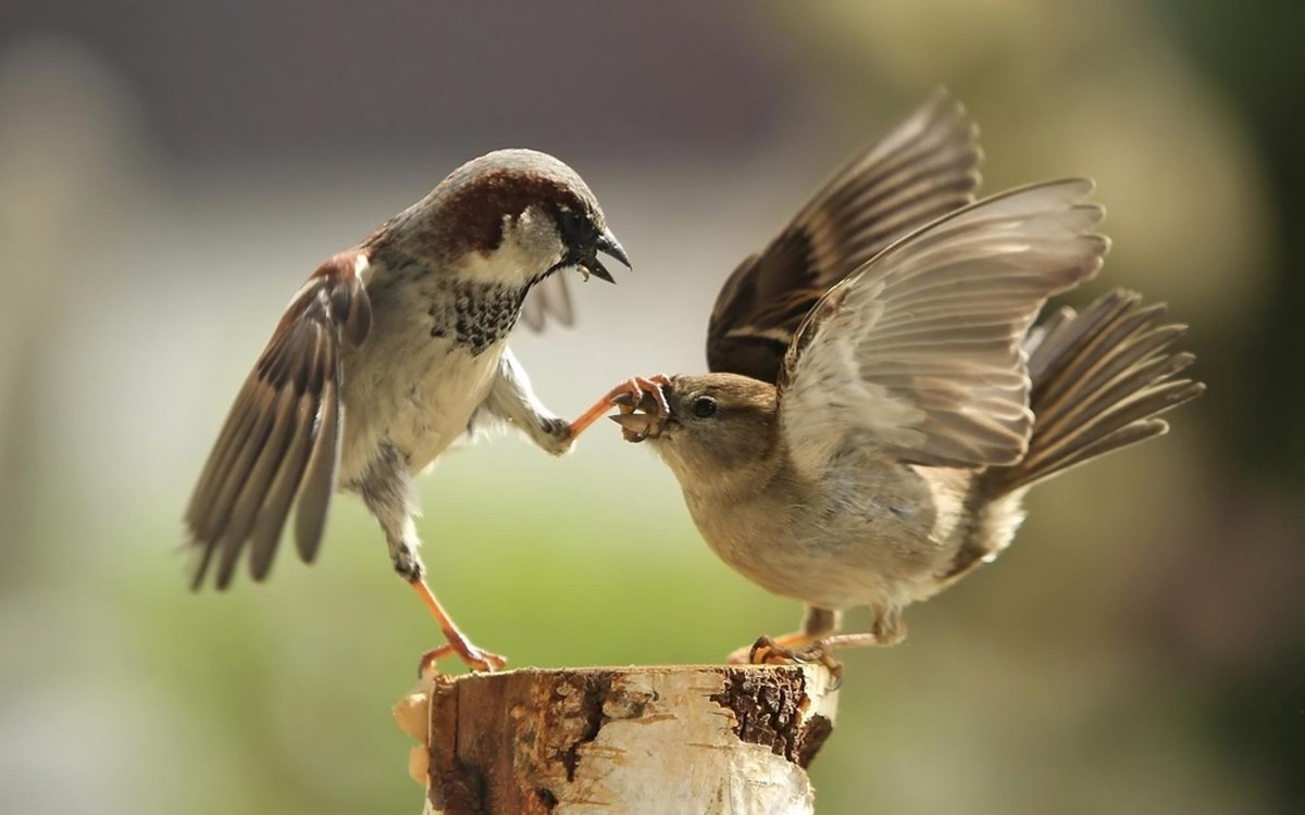 uxlinks's tweet photo. Good UX designers must be fighters - compromised designs are not good designs > https://t.co/hW9aURPyZ5 #design #ux https://t.co/79le8ivSG4