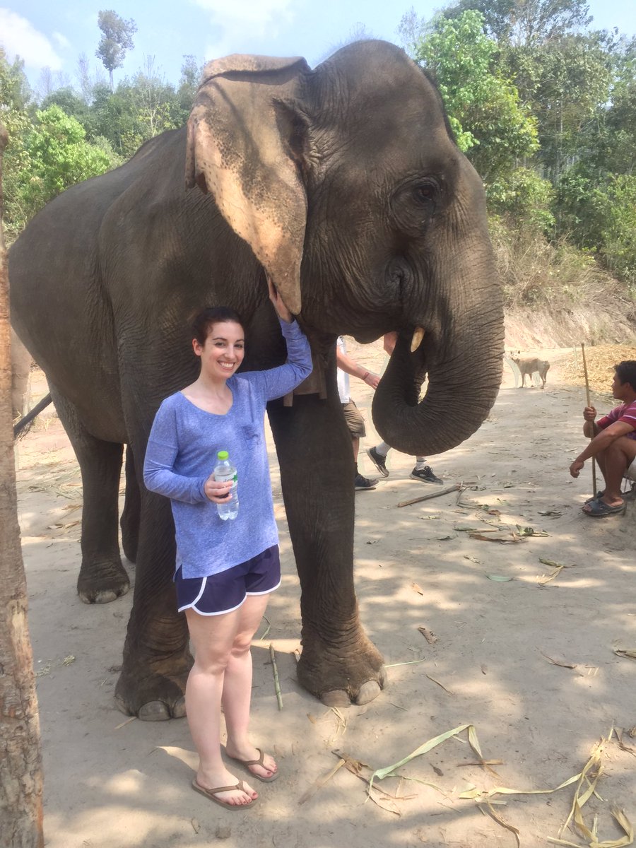 LivingBoyinNY's tweet photo. BIGGEST ANIMAL WE SEEN ALL TRIP PAWWL, THAT'S ANOTHER TITLE, BAMA NATIONAL CHAMPIONS OF THAILAND #ROLLTHAI https://t.co/bTKyMhEc0a