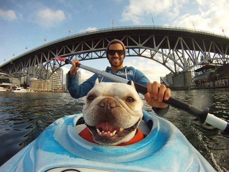 pawpack's tweet photo. Selfie! https://t.co/YfnKr2dCVu