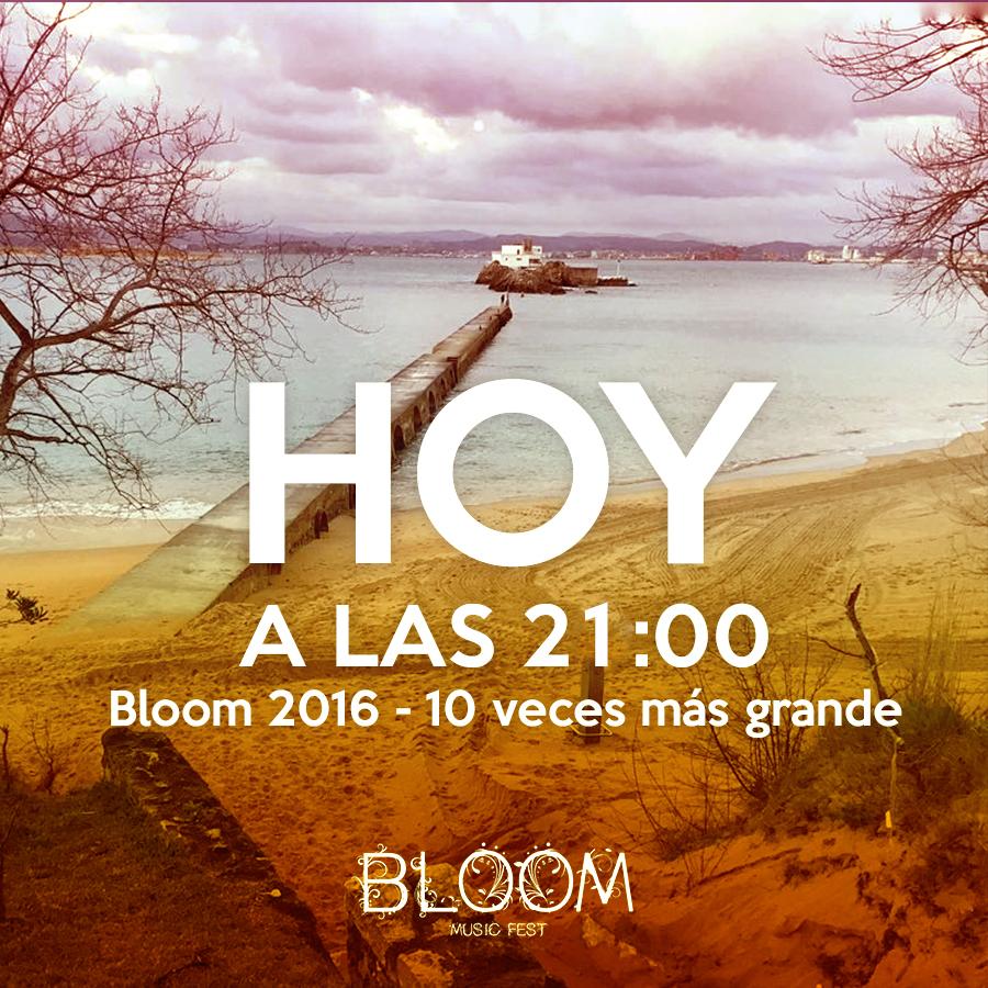 Bloom Music Festival tweet media