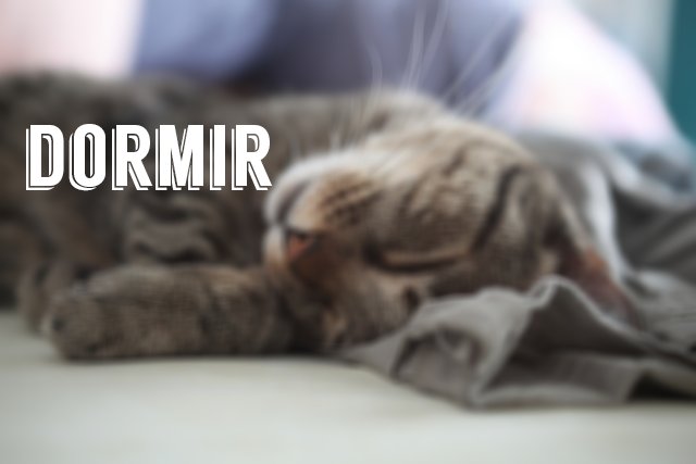 _shopboss's tweet photo. Domingo é dia de? 
#domingo #domingar #dormir https://t.co/N4GKXi6fOl