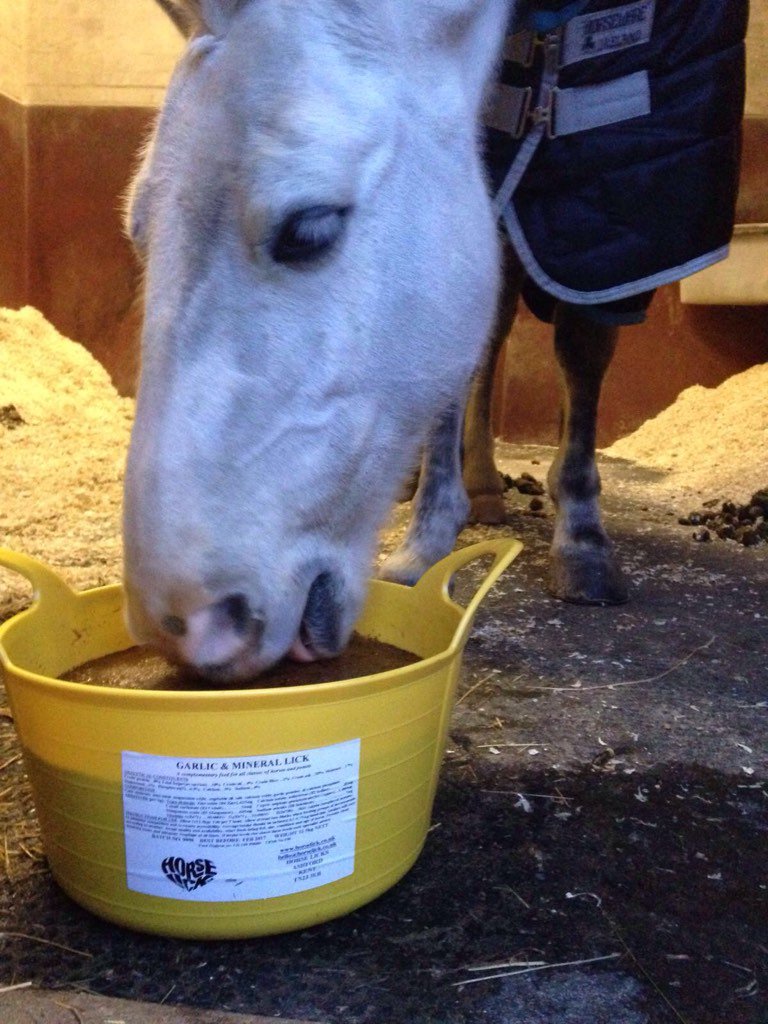 woollettcranePR's tweet photo. @EquineHour @Monty_Roberts #mightymonty #montymania we can't wait here @horselicks https://t.co/xUEp4OXA5y