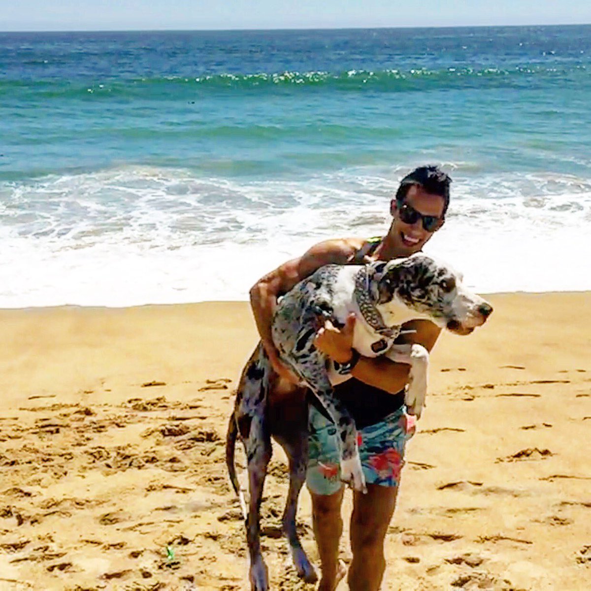 JorgePICHARA's tweet photo. Mi bebe #amzhi #amoresperros #love https://t.co/HqtpZJkIdw