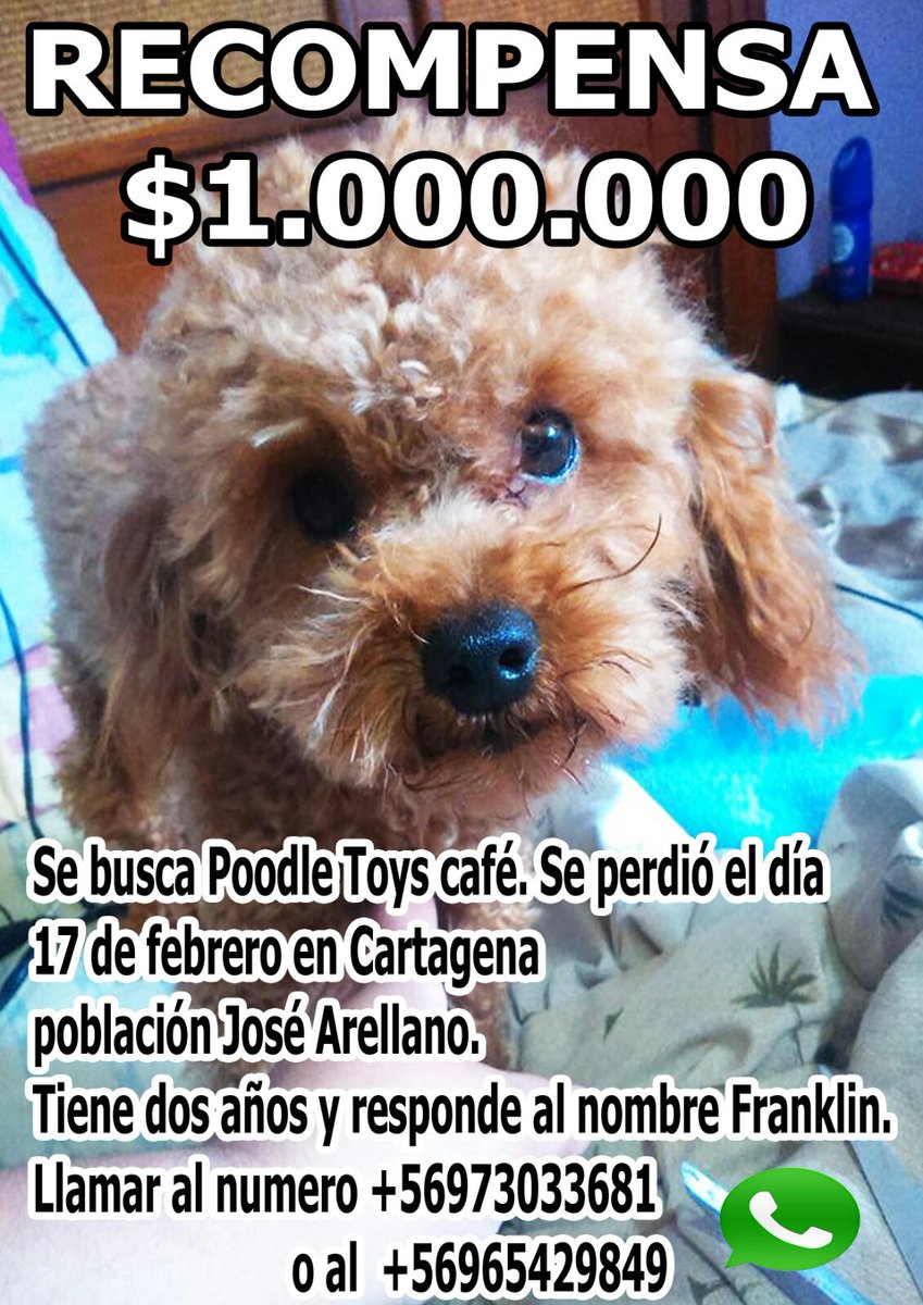 DaniAleEP7's tweet photo. UN RT NO CUESTA NADA. DESDE YA AGRADECIDA !!! https://t.co/wt5MHcej3U
