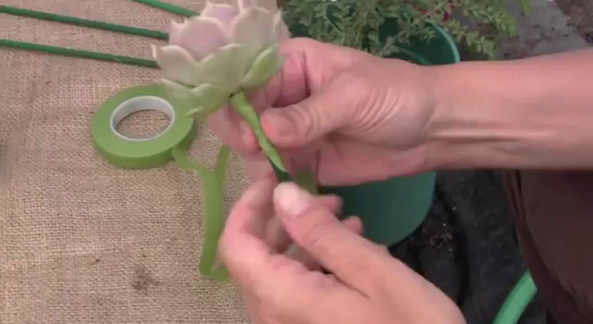 StarburstDecor's tweet photo. How to create a succulent bouquet or boutonnière? Us 20 gage wire and floral tape. Remove roots/dirt. Thread. Tape. https://t.co/1rPS1MRODh