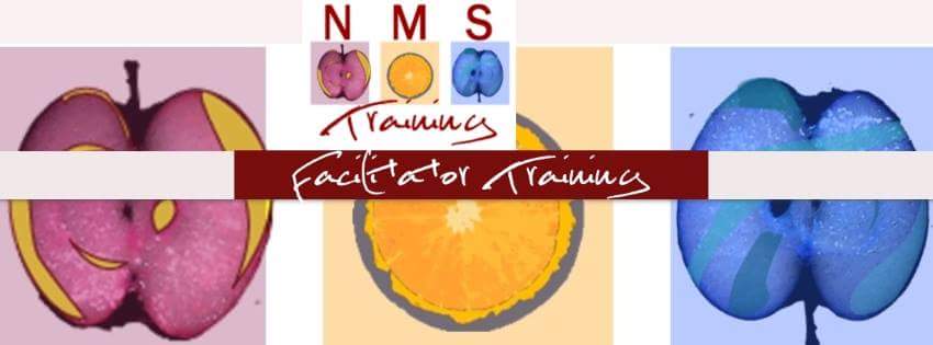 NMS_Training's tweet image. Join our next group of people for Train the Trainer.
#Facilitator #NMS 
facebook.com/events/5738580…