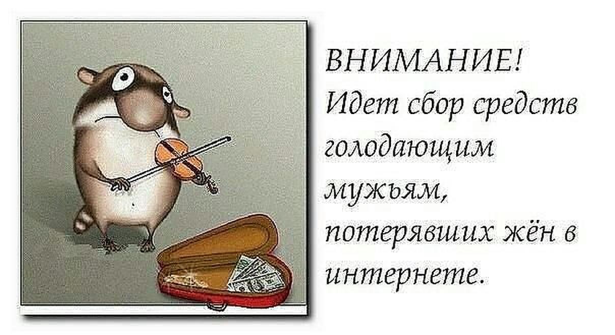 Афоризмы про интернет смешные