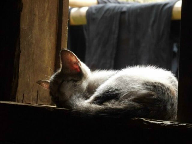 ZUVUNK'ers (@sabililah11) on Twitter photo 