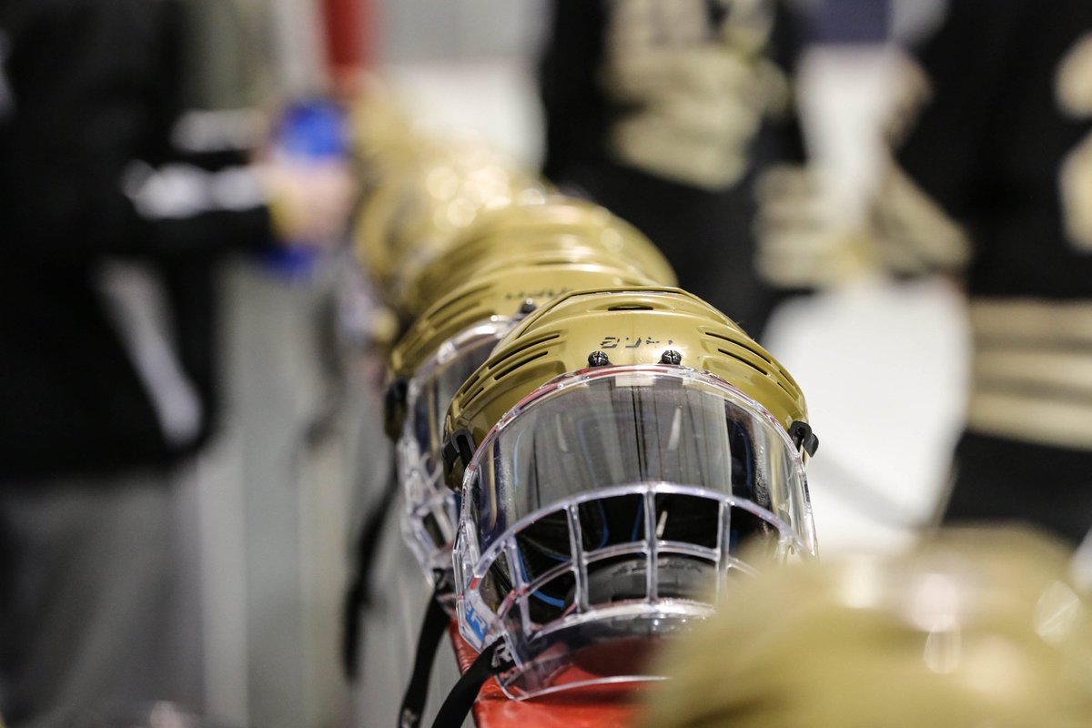 Hockey's state tournament bracket: Monarch and Mountain Vista are No. 1 seeds. bit.ly/1Tyv5Ip #copreps