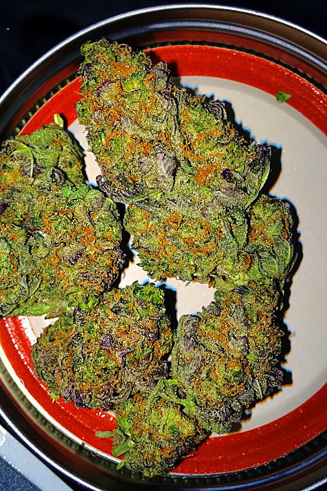 This Blue Cheese
will change your life
if you just smell it...👃🏼💙🌿
#Denver #Cannabisphotos #coloradogrown #colorado