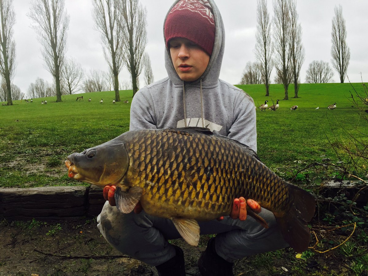 FLFishing97's tweet photo. Just the few from our session @ccmoore_baits  #pacific tuna                 Video out soon 👍🏻🎣🎣 https://t.co/BuXjL4flMu