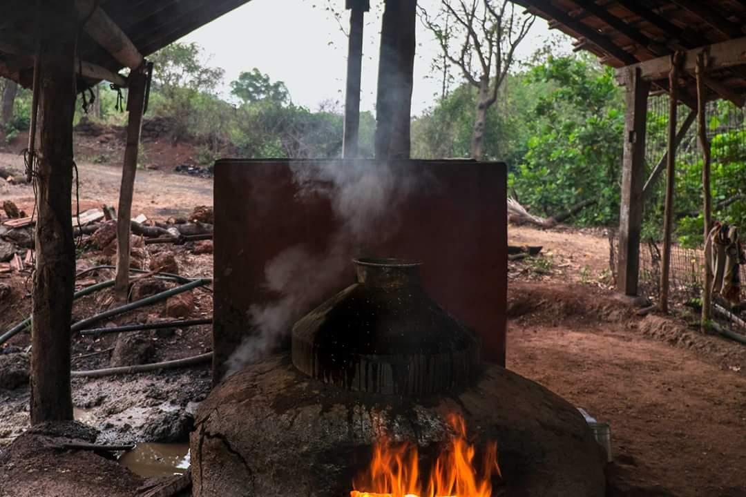 CazuloFeni's tweet photo. We are Fired up for the feni season! #fenny #bestspirits #cashew #Feni #Goa #cazulofeni https://t.co/SJeT3prWHJ