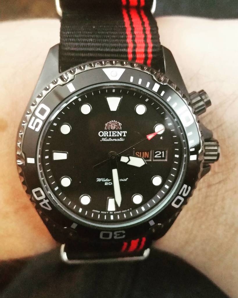 PattyORyan's tweet photo. Loving this combo #natostrap from @clockworksynergy #orientray #orientrayraven #horology #… https://t.co/A50nFOIa7F https://t.co/aJrkT7F8k0