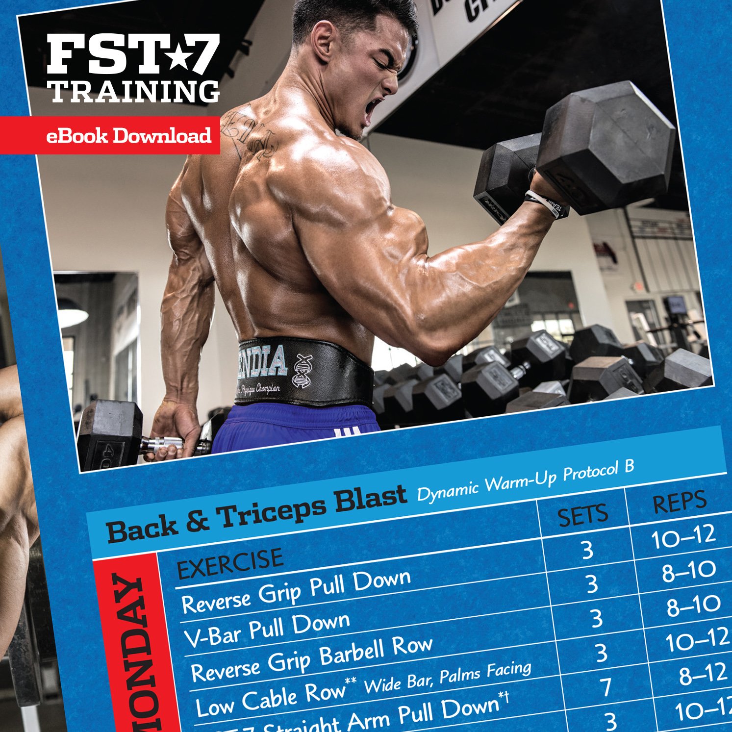 Fst 7 back sale