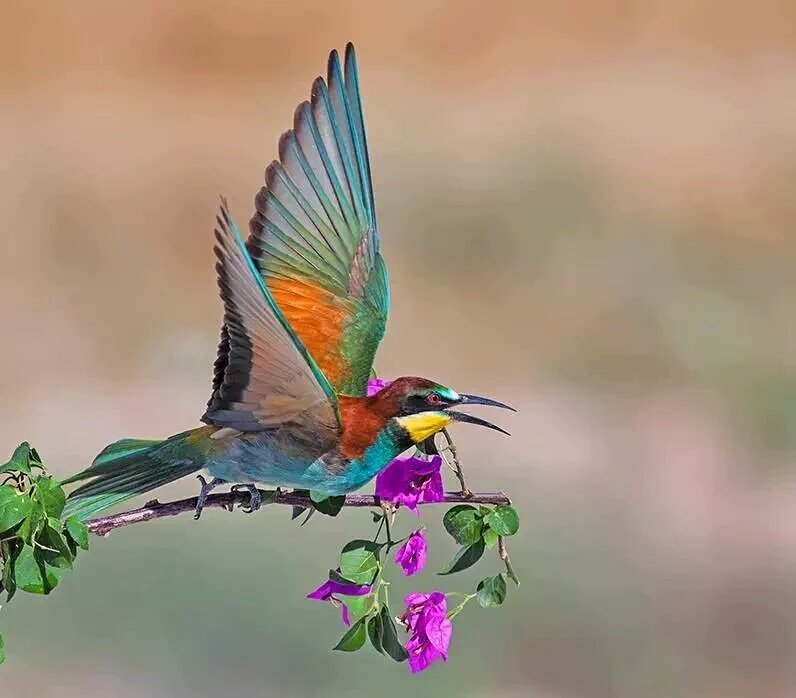 <a href="/tenorio1006/">ANA</a> <a href="/cArsi_dan/">cok mAnidAr</a> <a href="/Aviatorspot/">Aviatorspot</a> <a href="/aetmchristen/">CHRISTEN André</a> <a href="/Estrella51Ahora/">♡☆My Star☆♡</a> <a href="/_Horatio_/">_Horatio_</a> <a href="/miclauchu/">claudia melo!!!</a> <a href="/543neko/">暦ねこ</a> Feliz domingo