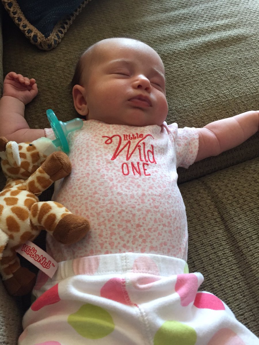 MrBeachBum23's tweet image. She was helping me get some work done and then just fell asleep. #InternProblems