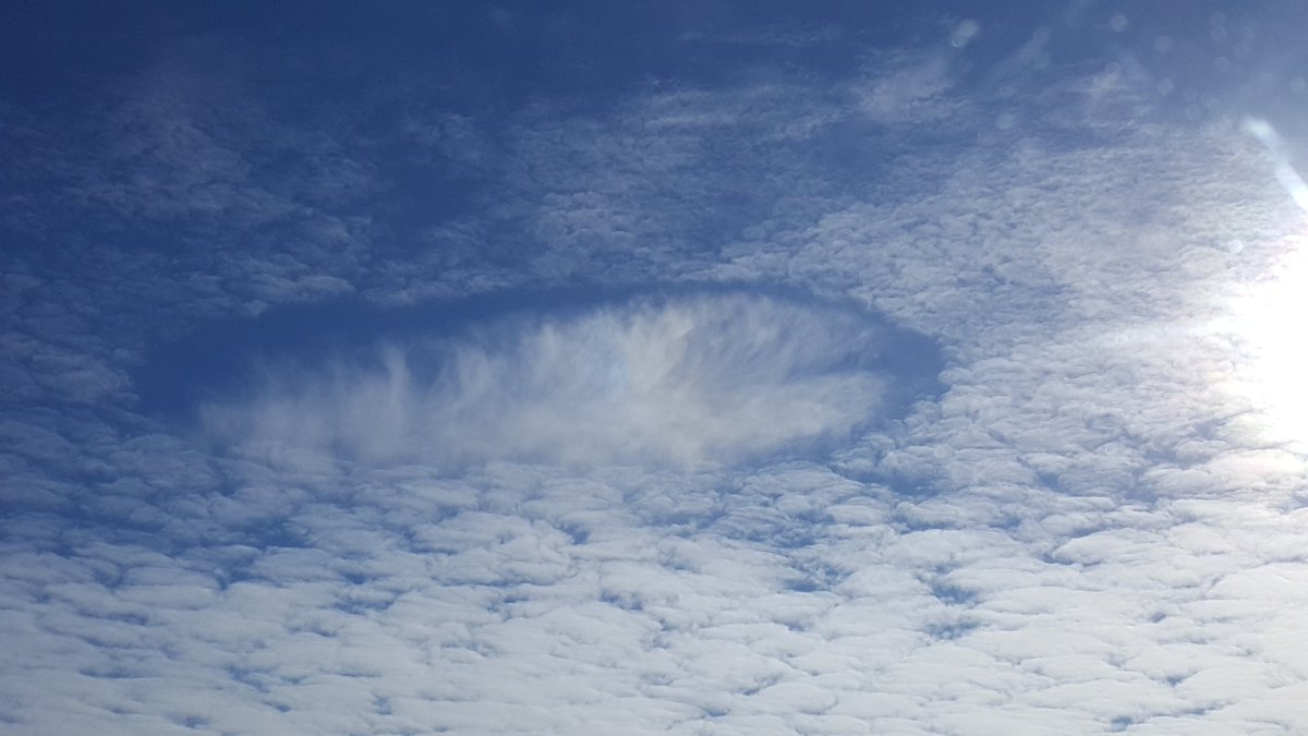 chrislmcd's tweet photo. Fallstreak cloud near Saskatoon yesterday.  #saskskies @weathernetwork https://t.co/yW21c5tgBM