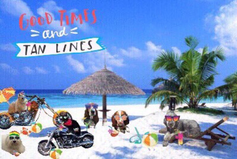 theruffriderz's tweet photo. @henryperemptory hey Henry..we put this puc out a shines ago....sorry you missed it! #TheProblemIHaveWith https://t.co/97LdemOHj0