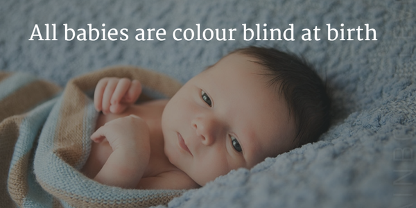 WCO_CE's tweet image. All Babies Are Born Color Blind at Birth
#EyeFacts #OptometryCE